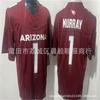 Arizona Cardinals NFL Football Jersey Stitched Team Uniform Men Black 1 18