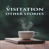 A Visitation and Other Stories by Denny Davis Paperback Book 9781035844753