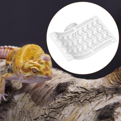 זוחלים – טרריום לזוחלים