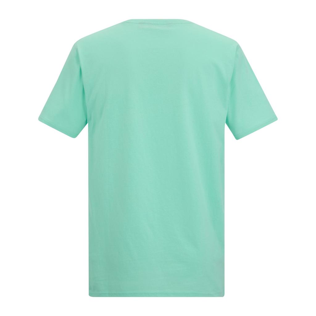 Regatta Mens Cline IX Sea Wave T-Shirt
