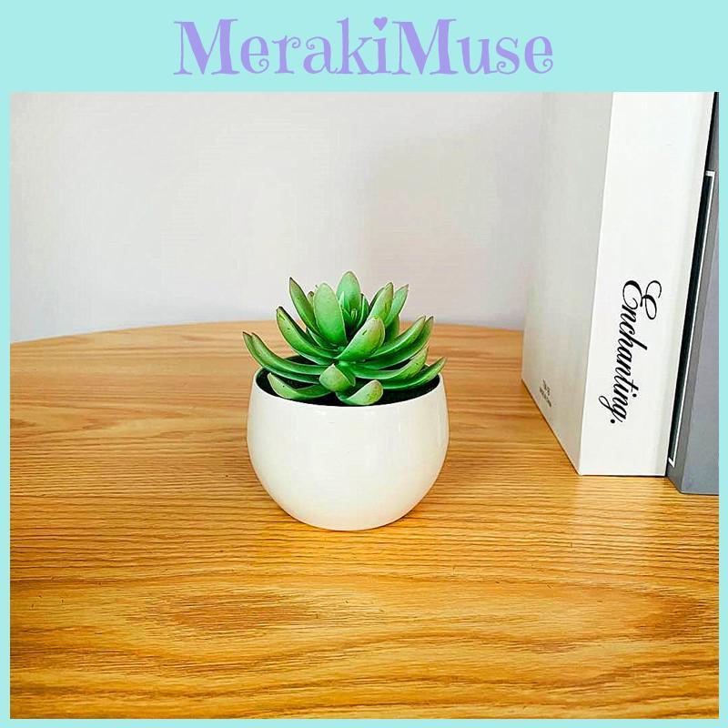 Simulated Succulent Bonsai Pot With Lightweight Pvc For Home Office Interior Design