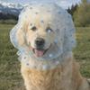 Mesh Pet Anti-Mosquito Headgear Breathable Adjustable Dog Anti Licking Headgear Love/Wave Point Pattern Dog Protective Mask