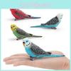 Animal Model Parrot Pvc Decorative Figure For Kids Learning And Home Decor