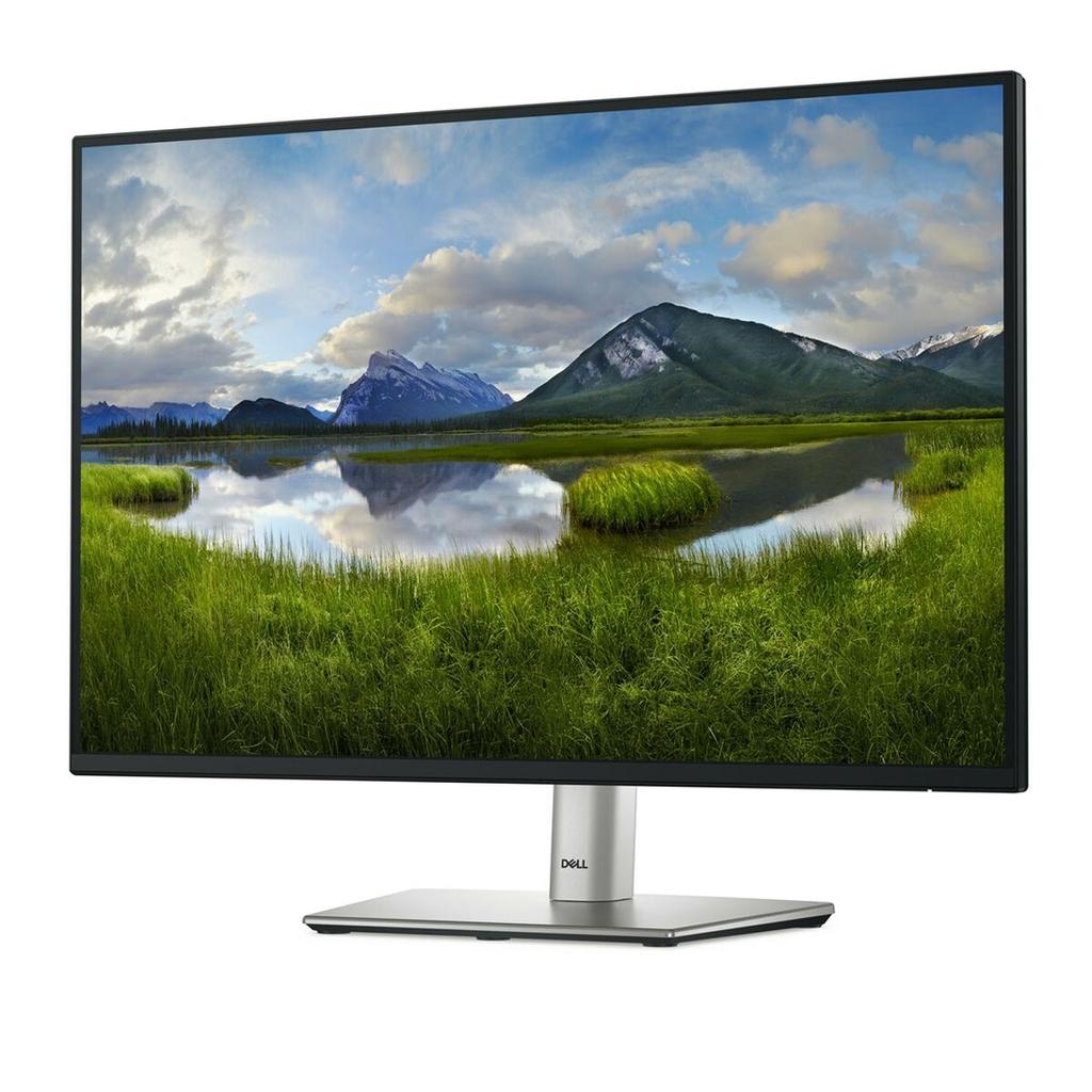 Dell P2425 24.1" HD WUXGA 100 Hz Monitor
