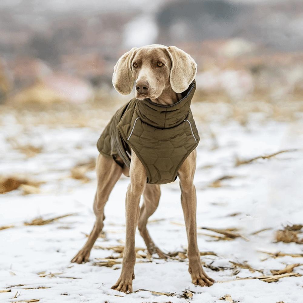 Reflective Strip Dog Winter Coat Fleece Lining High-neck Design Dog Turtleneck Thickened Warm Dog Vest Jacket Cold Weather