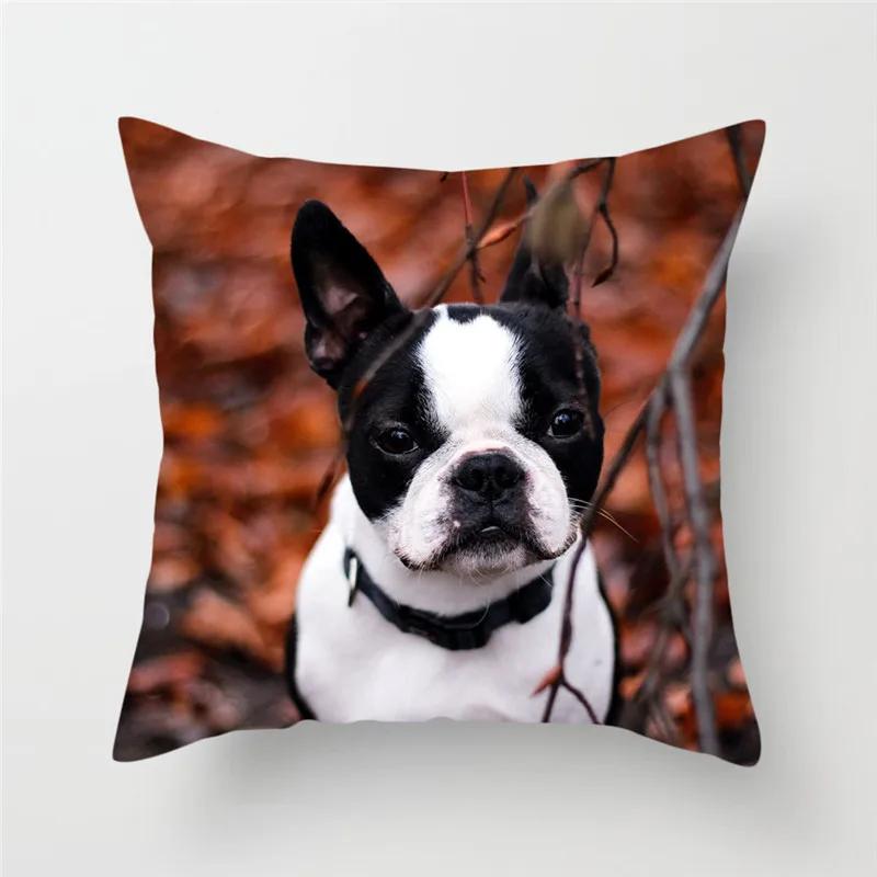 French Bulldog Polyester Cushion Cover Animal Dog Printed Pillow Cover For Sofa Home Living Room Decorative Pillowcase 45X45Cm