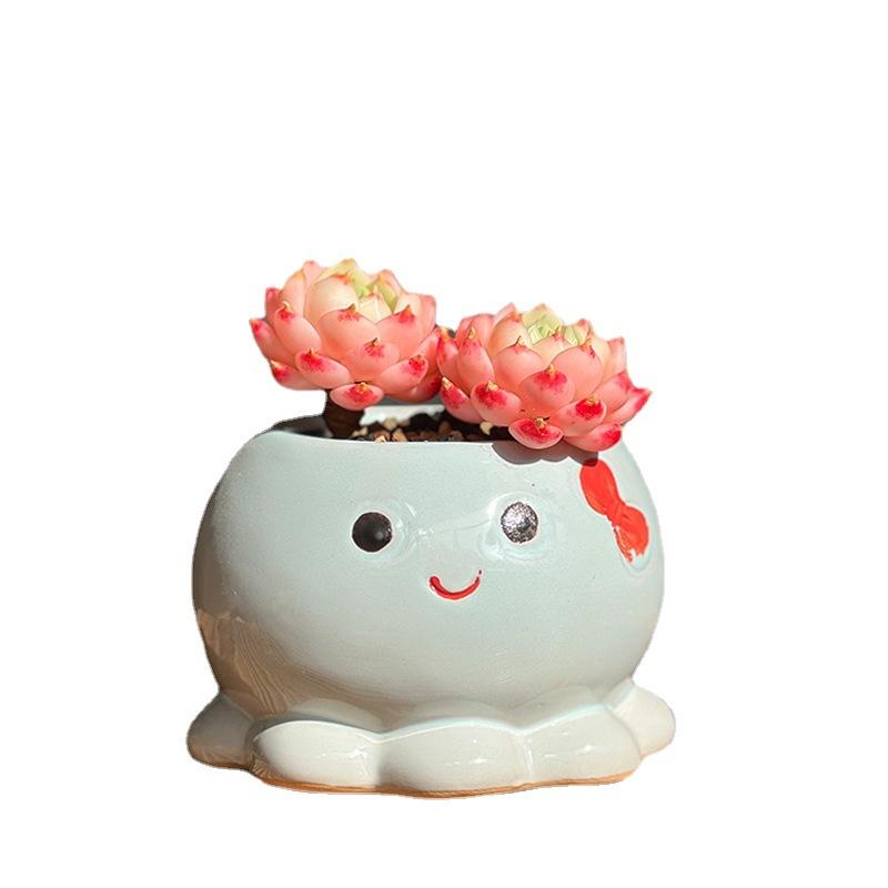 New Succulent Pot Flowerpot Hand-painted Ceramic Plant Flowerpot Creative Cute Octopus Shaped Flowerpot Home Decor