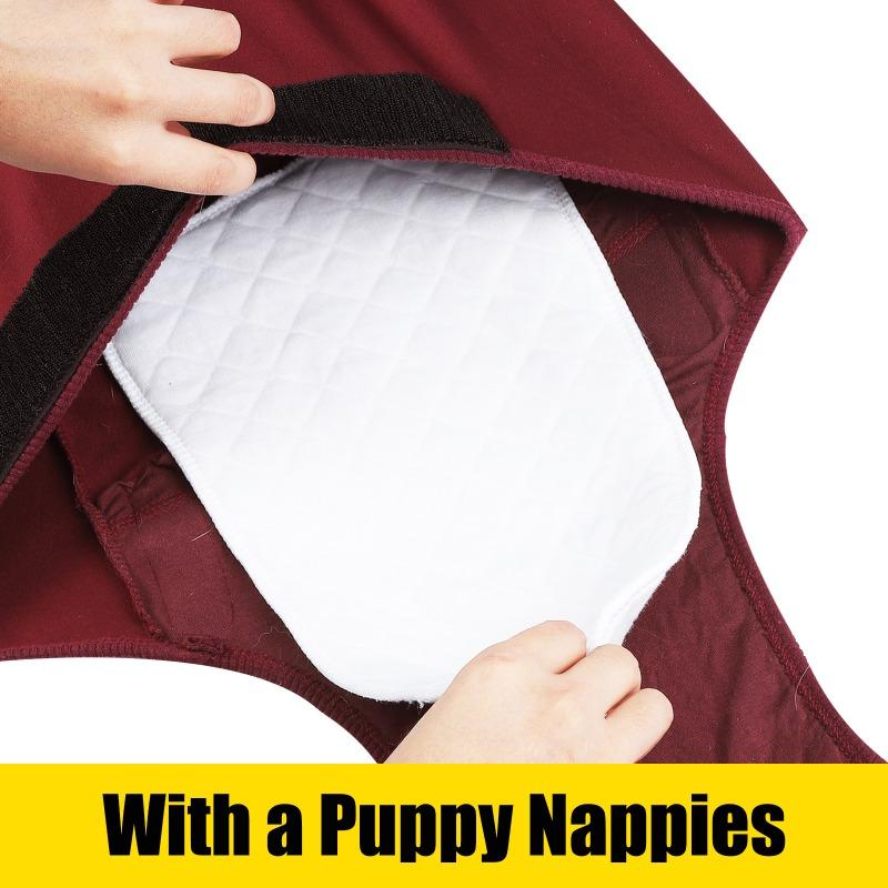Vestiti per cani, Abbigliamento fisiologico per animali domestici, Mutandine igieniche per cani, Cani di piccola e media taglia, Cani femmina di razza Teddy, Mutandine mestruali, Cani