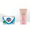 Safeguard Icy Mint Refreshing Soap & Hand Cream Set