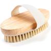 Natural Bristle Body Brush for Exfoliation & Massage - Long Handle Back Scrubber, Soft Bristles for Wet/Dry Skin