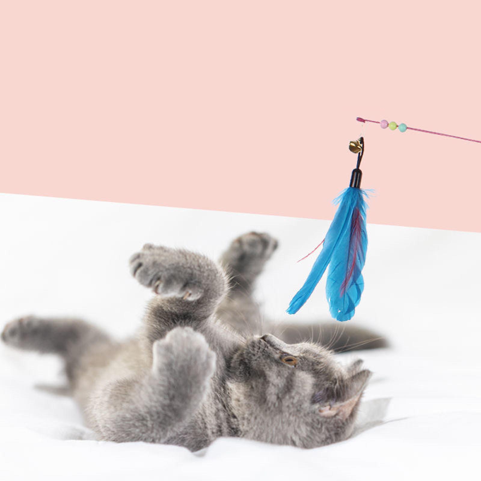

Teaser Toy with Bells and Feathers, Interactive Toy for Self-Play, Indoor Exercise and Entertainment One Size