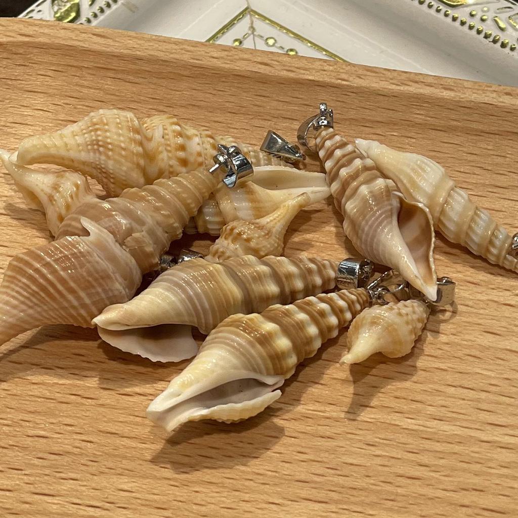 10Pcs Natural Mini Channeled Whelk Shell Charms 8×24~16×45mm Seashell Pendants With Silver Bail Beach DIY Jewelry