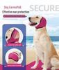 Waterproof Noise-Reducing Dog Ear Covers: Swim & Soothing Headgear