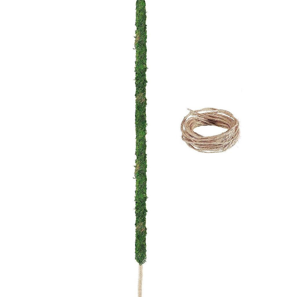1pc Bendable Moss Pole for Plants Monstera Moss Poles for Climbing Plants Plant Stakes for Indoor, Monstera Plant Support