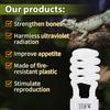 UVB 5.0 Reptile Heating Lamp High Quality 26W UV Energy Saving Bulb Terrarium Basking Reptile Light Turtle Lizard Snake Lamps