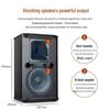 SHILE Professional Conference Room Audio System CN plug (adapter included)