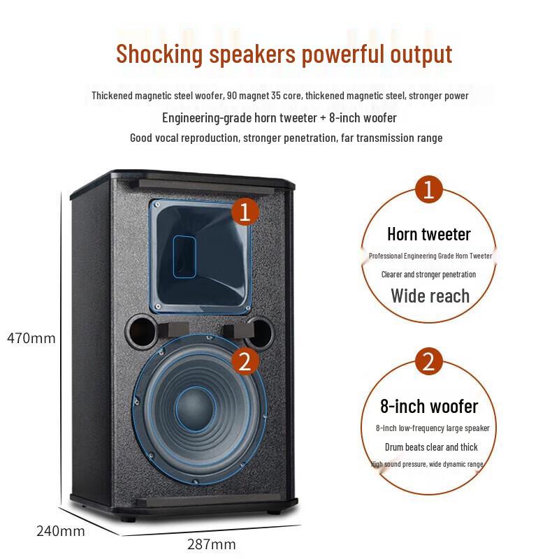 SHILE Professional Conference Room Audio System CN plug (adapter included)