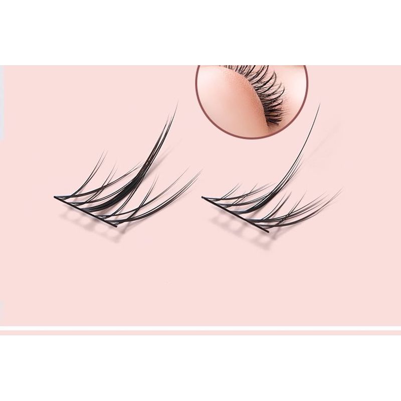 Charyeina - Individual Cluster False Eyelashes