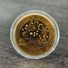 Souvenir Coin Merry Christmas Commemorative Coins Collection Metal Crafts