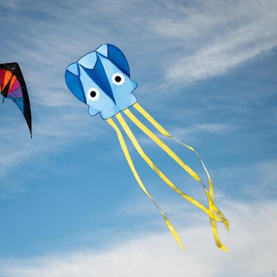 Garten Drachen für Kinder, Outdoor Flugspielzeug, mit Schnur, Windsack Strand & Erwachsene Teenager Jungen Mädchen