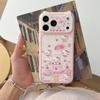 Compatible with iPhone 17 Pro Max: Strawberry Cake KT Cat Ears Large Window Case