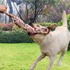 Wear Resistant Puppy Rope Knot Toy Bite Resistant Pet Molar Toy Dog Chew Toy  Relieve Boredom