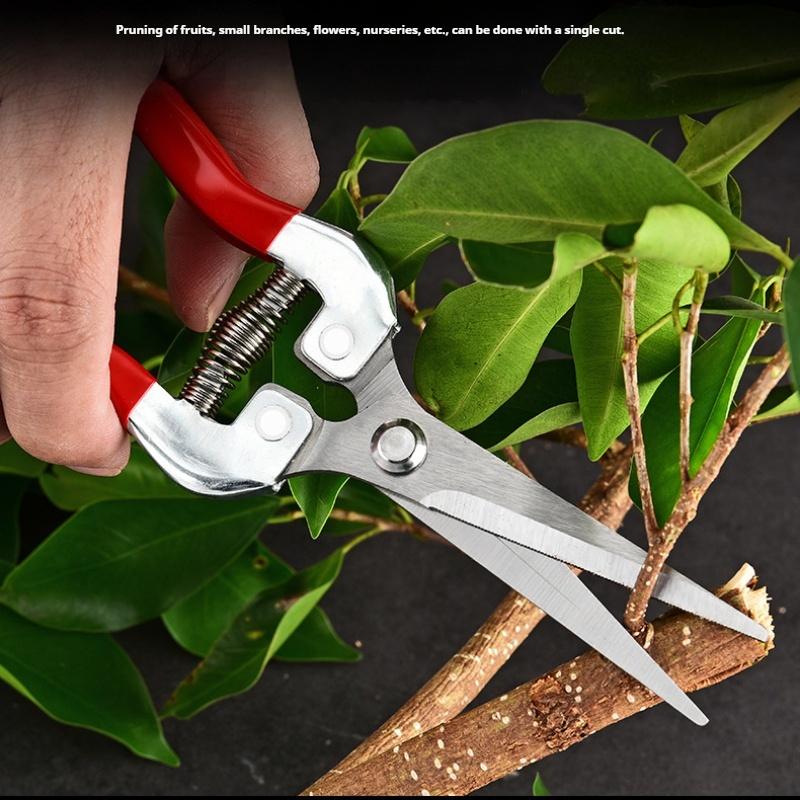 

Orchard Fruit Picking Shears Picking Grapes and Melons Scissors Garden Fruit Tree Flower Branch Grafting Gardening Scissors 20cm*4.7cm