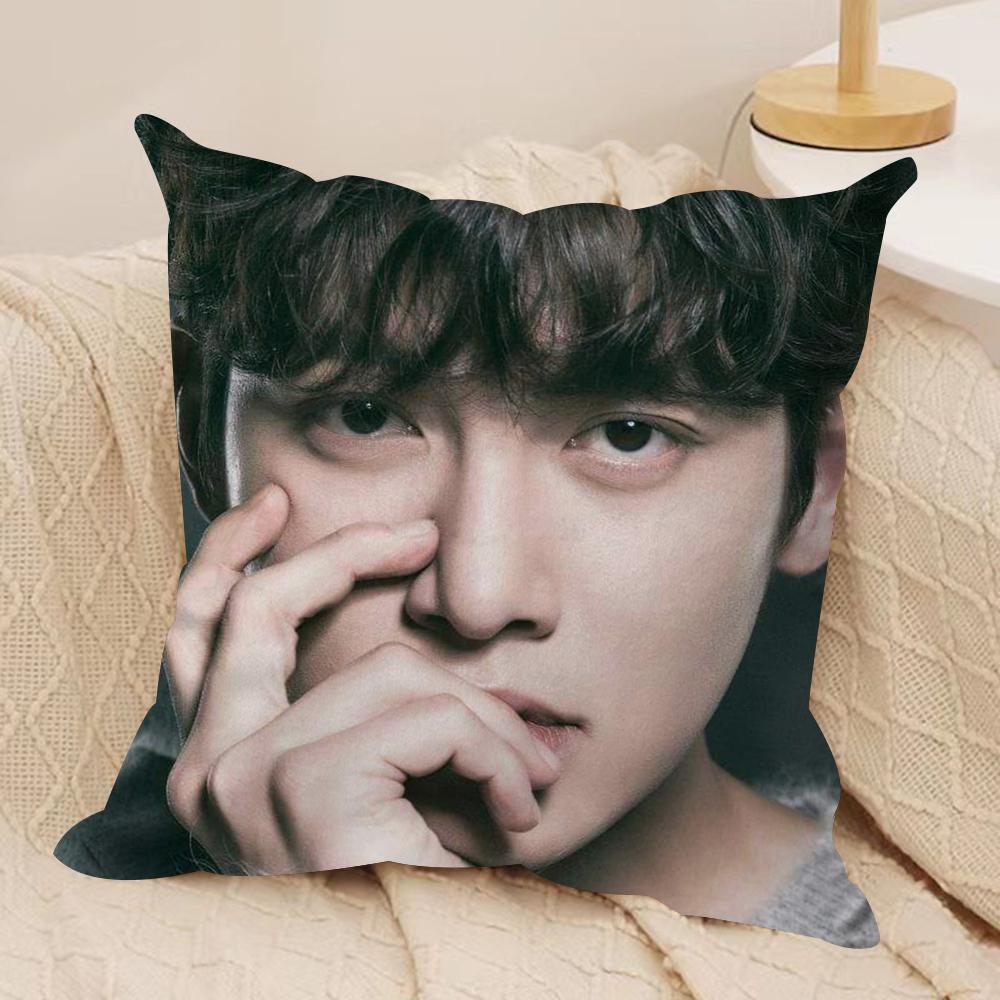JJi CChang Wook Cushion Cover Silky Short Plush DoubleSided Printed Pillow Case for Sofa All Seasons Home Decor Gift