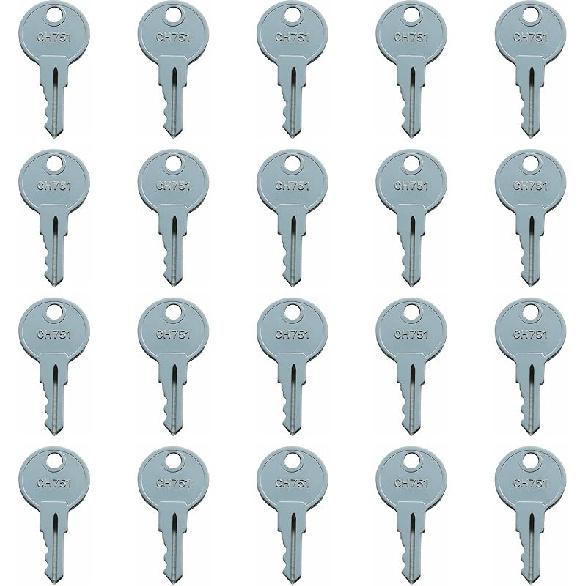 20 Pcs CH751 751 751CH Key For RV Campers, Cabinets, Push Locks Door Hatch Locks Carts T-Handles Pickup Shells Tool Boxes Trash Laundry Chutes