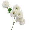 Artificial Peony Flower 6 Heads Blooms Faux Silk Peonies with Stem Fake Flower Branches for Vase Wedding Centerpieces Floral Arrangements
