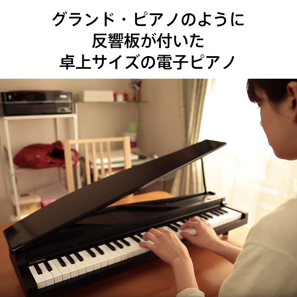 Korg MicroPiano Mini Keyboard 61 Keys 61 Built-in Demo Songs Red