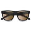 Lowdown 2 Medium Fit [Smith Optics] Sunglasses,