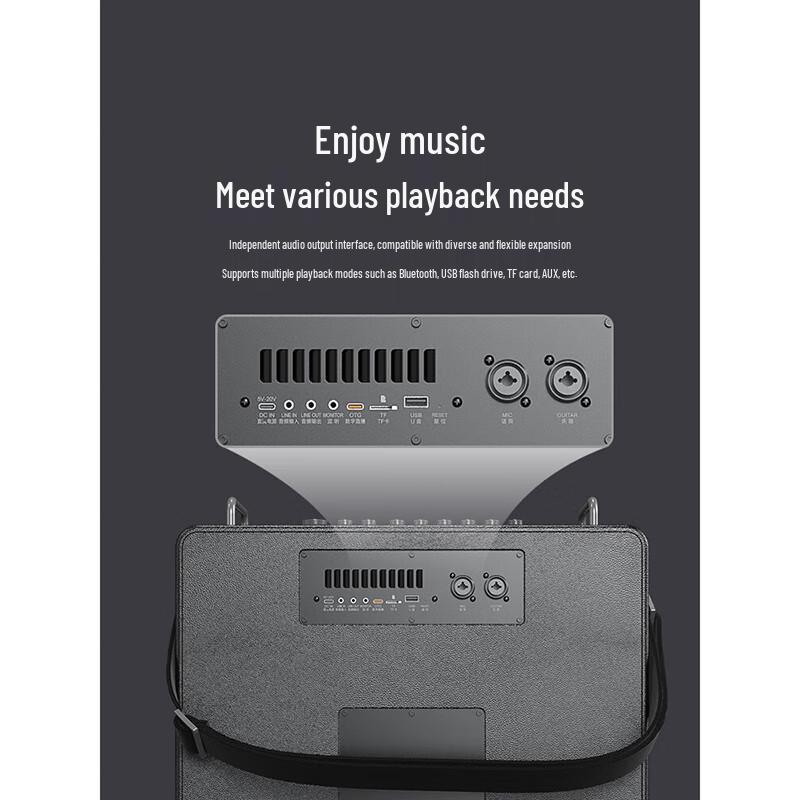 W-King T16L 160W Outdoor Karaoke Bluetooth Speaker