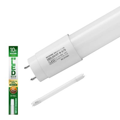 Ampoules – Ampoules économiques et fluorescentes