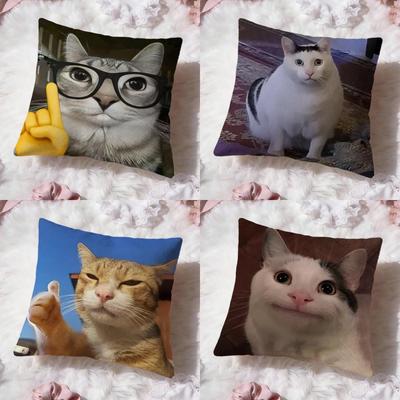 Pet Cat Funny Memes Cushion Cover Premium Comfort Reversible Pillow Cove -Two In One Design for Any Room & Car Interior