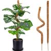 80cm Biegsame Kokosfaser Moosstange Pflanzenstütze Monstera Aufwärtskletterndes Garten-Erweiterungsgestell - Pflanzen-Erweiterungshilfe
