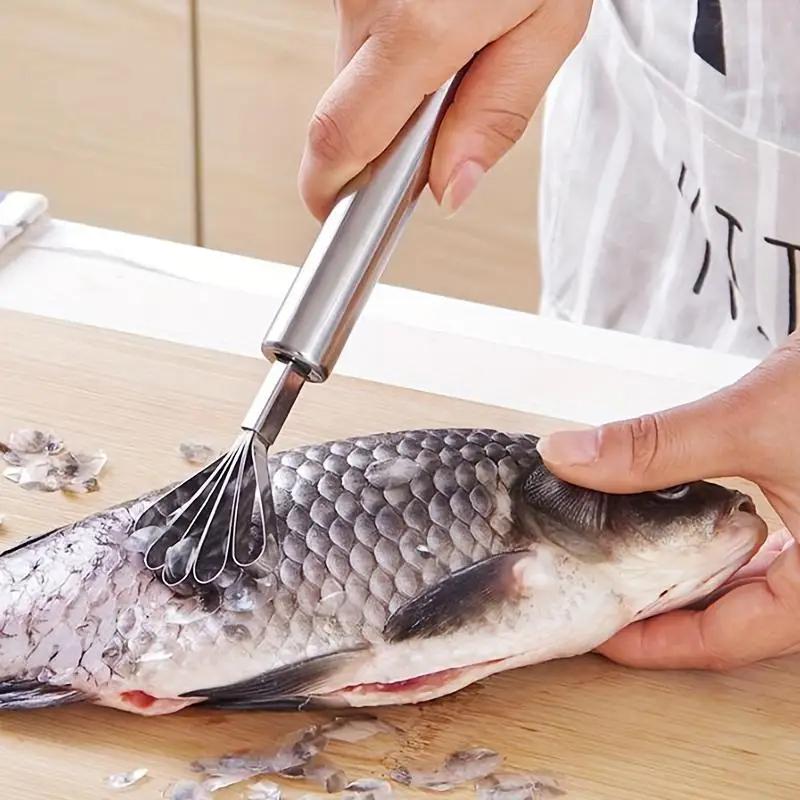 1 STÜCK Kokosfleischschaber aus Edelstahl, Mehrzweck-Hobel aus Edelstahl, Fischschaber