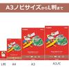 CANON Matte Photo Paper A4 100 Sheets MP-101A4100