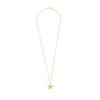 Ladies' Necklace Radiant RY000140 45 Cm