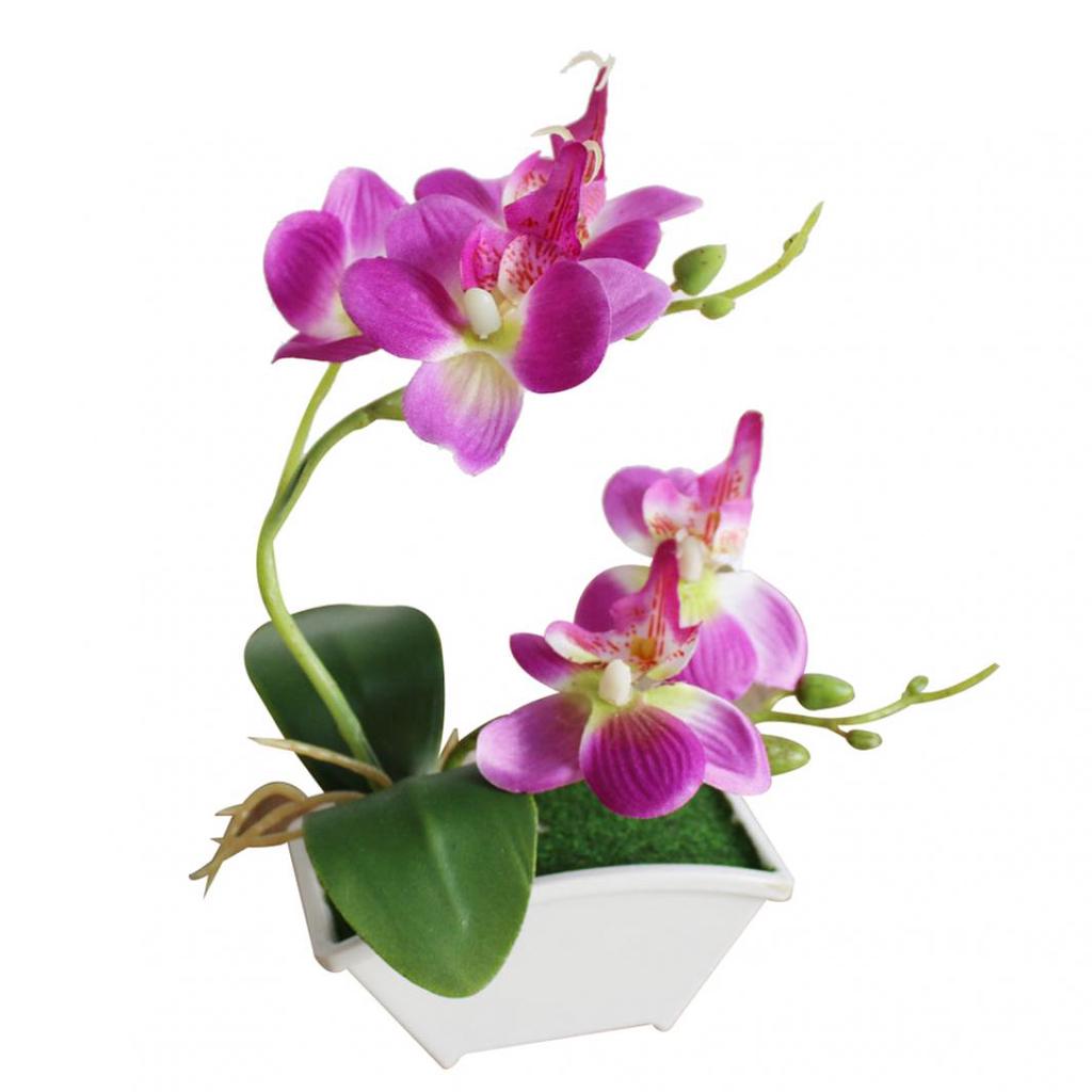 Butterfly Orchid Flower Home Office Decor with Flowerpot