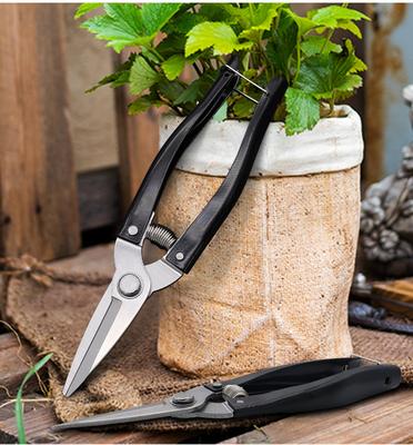 Straight Head Stainless Steel Household Gardening Flowers Branches Pruning Shear Fruit Picking Tools Garden Scissors with Spring