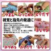 Skin Pick Squeeze Toy Set Firm Bead Picker No Batteries Required Perfect for Killing and Finger Rehabilitation Cream 4-Piece - - - Time, Waiting, (Ice