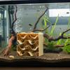 Natural Sandstone Aquarium Cave Shelter Hollow Decor Hideout Breeding Cave for Shrimp Small Fish Fish Tank Landscape Accessory