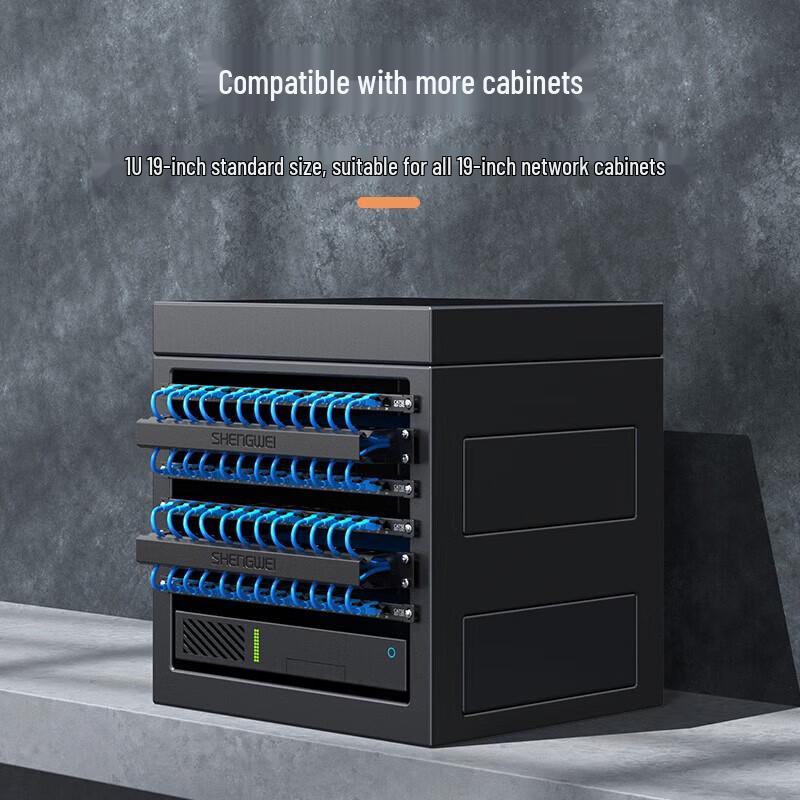 Shengwei 19-inch 1U 48-Port Cable Management Panel
