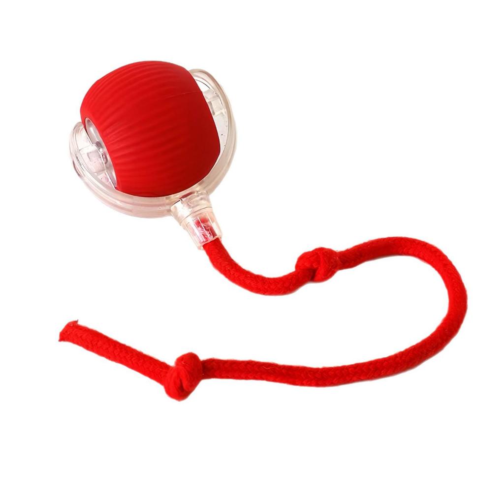 Cross-Border Cat and Dog Rolling Amusement Ball - Interactive Pet Toy for Boredom Relief