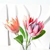Artificial King Protea Flowers Lifelike Tropical Floral Arrangements Faux Protea Cynaroide with Stem for Wedding Centerpiece Home Office Table Decor