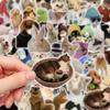10/30/50 Stück Lustige Tiere Meme Aufkleber Niedliche Katze Hund Hase Abziehbilder Wasserdicht DIY Skateboard Notizbuch Telefon Graffiti Aufkleber Spielzeug