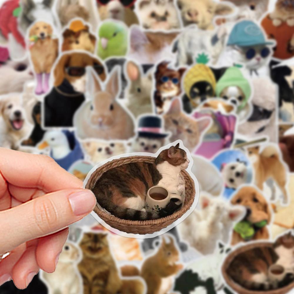 10/30/50 Stück Lustige Tiere Meme Aufkleber Niedliche Katze Hund Hase Abziehbilder Wasserdicht DIY Skateboard Notizbuch Telefon Graffiti Aufkleber Spielzeug