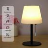 Neoglint RGB Table Lamp Colorful Desk Light with Remote Controller Pull Chain   Bedside Lamp Reading Lamp USB Rechargeable for Living Room Bedroo