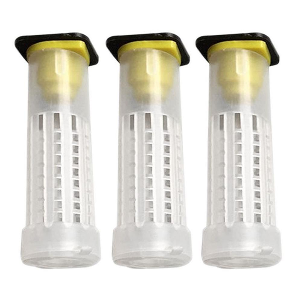 Insect Rearing Cups Buy 120pcs Bee Cell Cups Queen Rearing System Beekeeping Tool ...